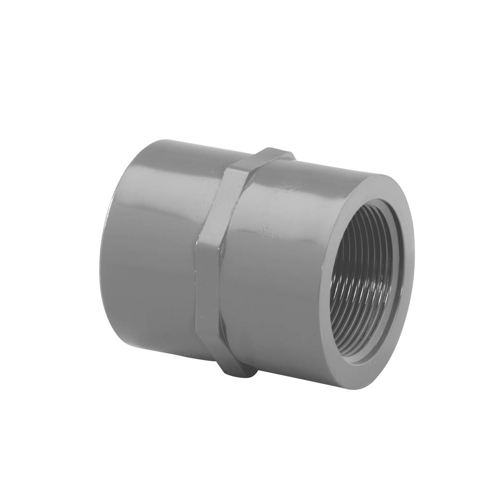 Westlake Pipes & Fittings Sch80 Female Adapter, Slip x FPT, 6
