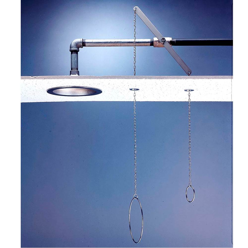 Speakman Speakman Lifesaver Ceiling Mounted Deluge Shower with Chain & Ring
